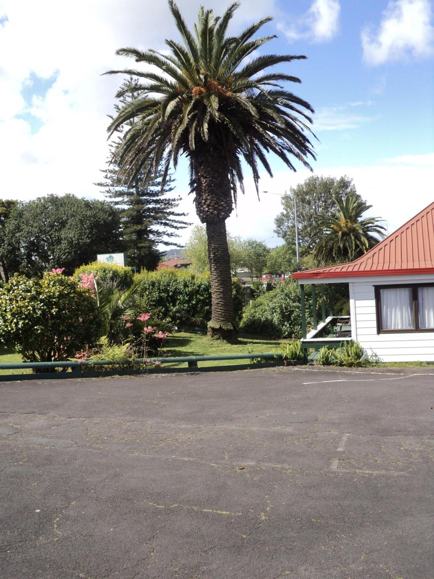 New Haven Motel Auckland Bagian luar foto