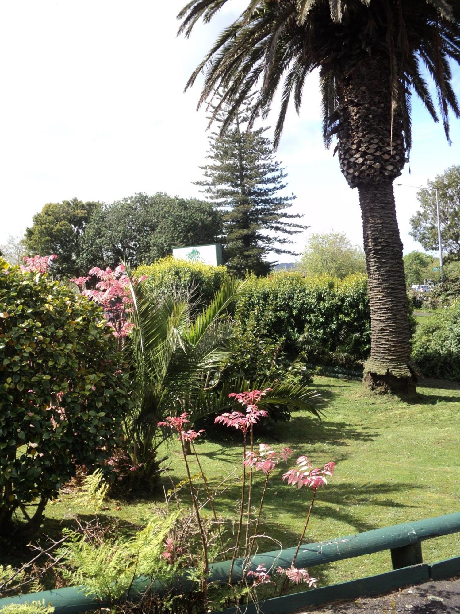 New Haven Motel Auckland Bagian luar foto