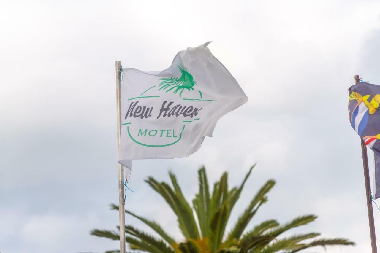 New Haven Motel Auckland Bagian luar foto